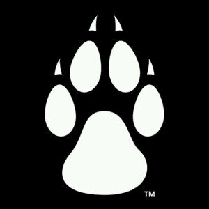 golobos44's profile picture. 