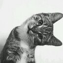 0 (@0000000000_988) Twitter