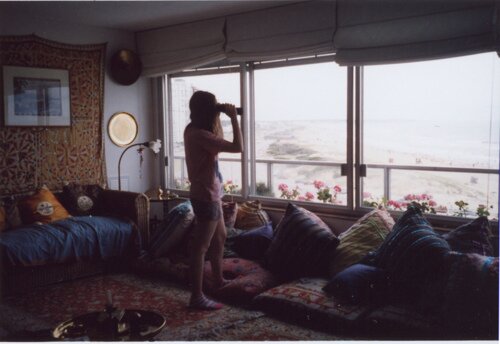 and the feeling comes from my bones says find a home!