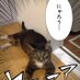 ç²æç°ããã¡ (@kaida_yukichi) Twitter profile photo ç²æç°ããã¡ (@kaida_yukichi) Twitter profile photo