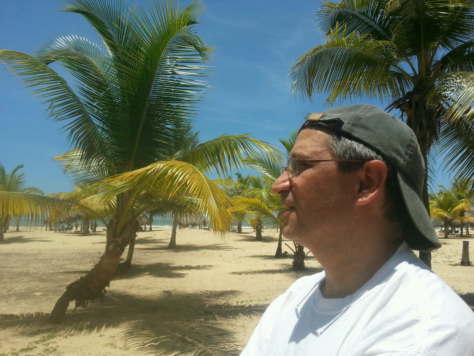 Profesor UCV

Esperando por los dados de Jumanji... veremos que sale hoy