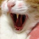 あやね (@01131002) Twitter