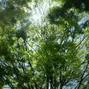 ノリ (@0919Li) Twitter