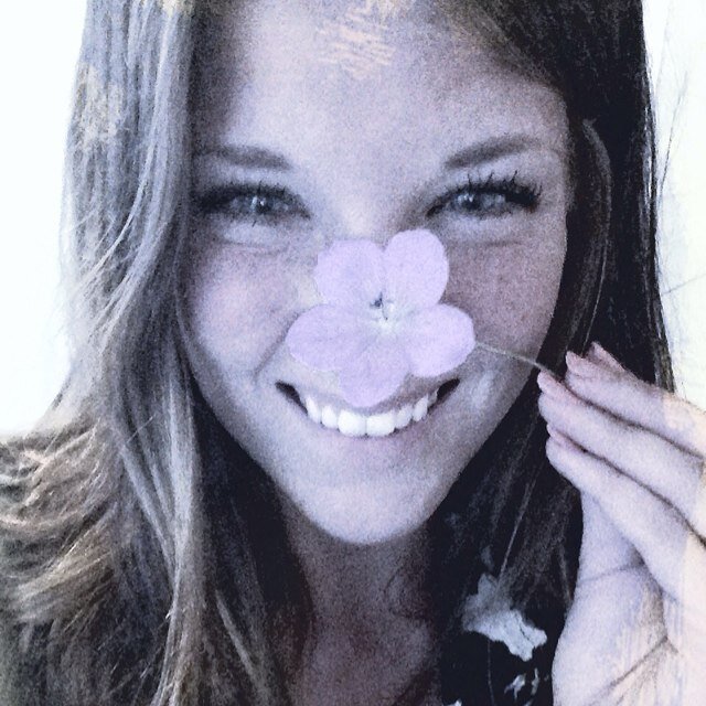 nprincis's profile picture. 