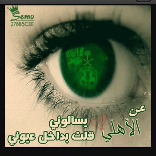 محب الغربيه