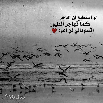  فيني حكي كبر السمآء ونجومهآ
و فيني حنين،هد حيلي من كثر م أتخيل ~*
.♥K#7D3CF8F6