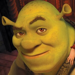 shrekafterdark's profile picture. lover of all things beautiful. pansexual. swamp dweller. not as green in real life