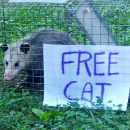 Dubshack's profile picture. A Manic Disciple of God.