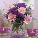 jimena alonso - @rmpa2312 - Twitter