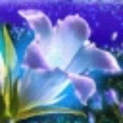 boidengalo's profile picture. А сегодня я решила ночь контакту подарить :о)