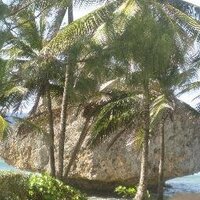 Lifestyle Barbados (@lifestylebdos) Twitter profile photo