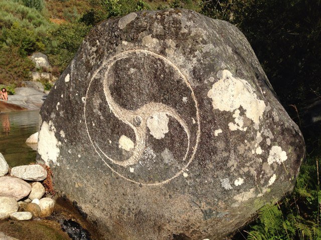 MPablomf13's profile picture. 