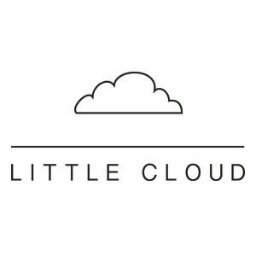 Founded in 2010 by Aaron Wolken, Little Cloud Pictures is a visual arts company specializing in painting and film.