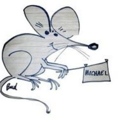 MikeIsHungry's profile picture. Building rocket ships while flying.