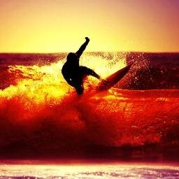 rastaTiti33's profile picture. 