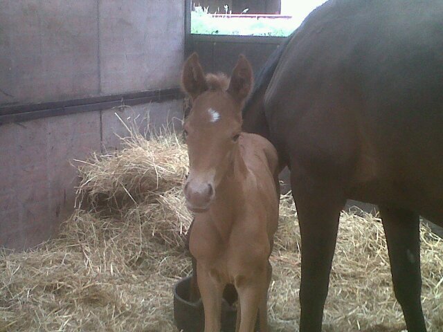 Stroudsmoore's profile picture. Practice Manager, Boots Opticians, Yeovil.