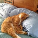 QIAN DU - @du_qian - Twitter