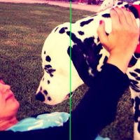 Embee (@embee) 's Twitter Profile