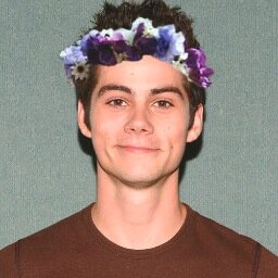 Hey I'm Elizabeth and Dylan O'Brien is the love of my life♡ ••• Instagram: @doitwithstiles Kik: doitwithstiles