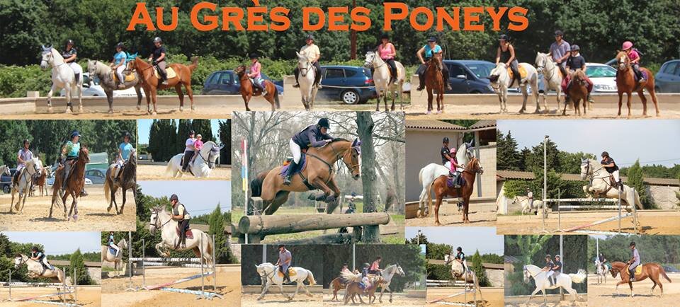 AUGRESDESPONEYS's profile picture. Centre Equestre - Poney Club au coeur des Alpilles sur la commune de SAINT ETIENNE DU GRES. Cours, Pensions, Compétitions, Promenades il y en a pour tous !!!