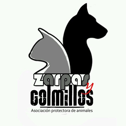 Asociación Protectora de animales Zarpas y Colmillos. Hay muchas formas de ayudarnos, ¿te animas? Todos necesitamos ayuda alguna vez, seamos animales o no.