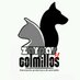 Zarpas y Colmillos (@zarpasycolmillo) Twitter profile photo Zarpas y Colmillos (@zarpasycolmillo) Twitter profile photo