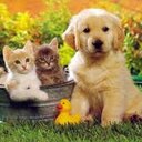 irem güzel (@05076675501) Twitter