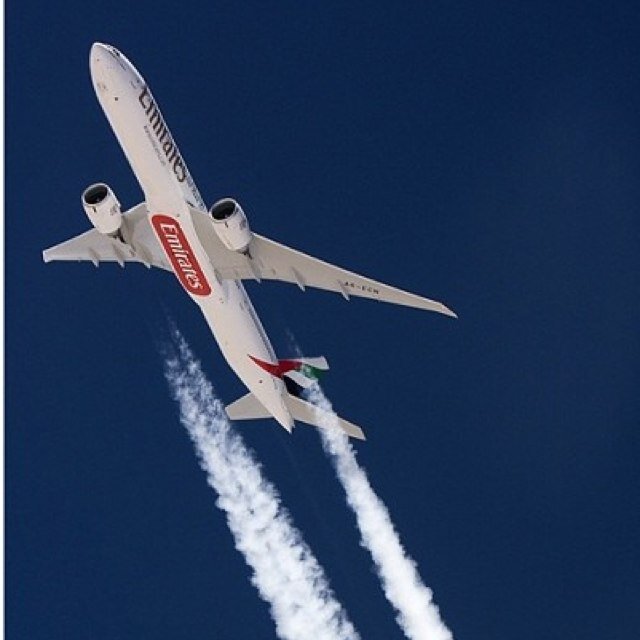 EASA Commercial Pilot license holder. ✈ #avgeek Instagram: @TheElitePilot