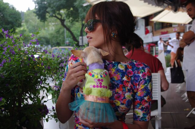 ggunesglr's profile picture. a Katie girl