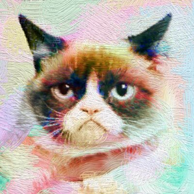 Grumpy Cat @GrumpyCatJ Twitter Grumpy Cat @GrumpyCatJ Twitter