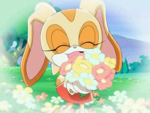 Hi there! I'm Cream the Rabbit! My little friend here is Cheese! I can be quite shy at times. #TeamSonic #RP #10 #InvaderZimFanGirl #DigimonFanGirl