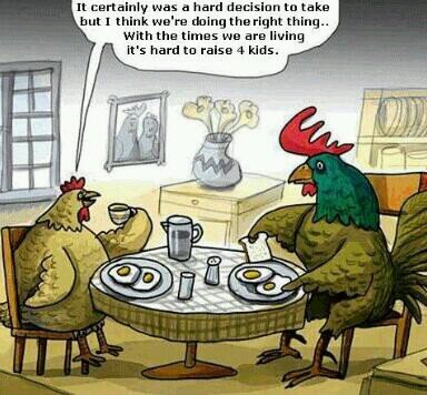 I like chicken nuggets. I eat them, I grow them. I am a chicken. I suppose thats a cannibalism, but ye. Idc.