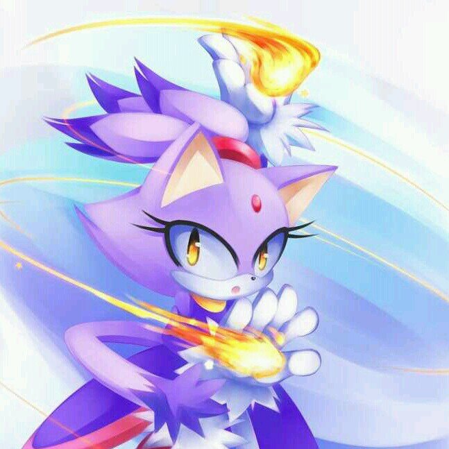 A cat on #TeamSonic. What else do you need to know?