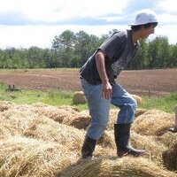 roots community food centre (@rootscfc) 's Twitter Profile