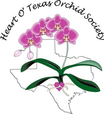 Promoting the love of growing and exhibiting orchids in Central Texas.
We meet the first Tuesday of every month. Follow us on social media for updates!