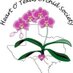 Heart of Texas Orchid Society (@heartotexasos) Twitter profile photo Heart of Texas Orchid Society (@heartotexasos) Twitter profile photo