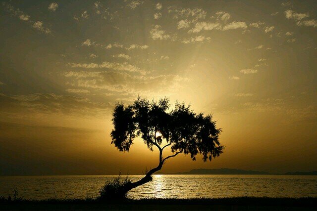 Oh, that you would bless me indeed and enlarge my territory! Let your hand be with me, and keep me from harm so that I will be free from pain. In Jesus' name.