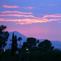 pilgrimrigby's profile picture. 