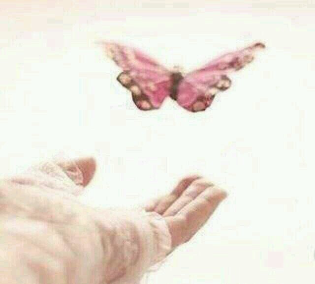 bayanSh's profile picture. بغيرهِ لن أكون ♥♪