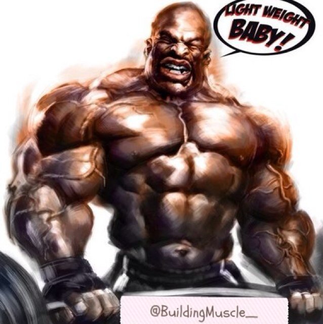 beginner, intermediate, advanced ::: lift big ::: lift strong ::: i follow back all of my followers!