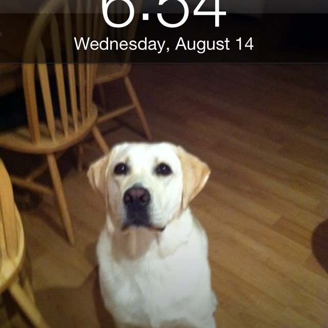 ChrisCulp4's profile picture. 