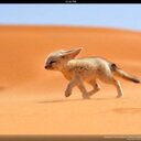 Tori patterson - @Torikpatterson - Twitter