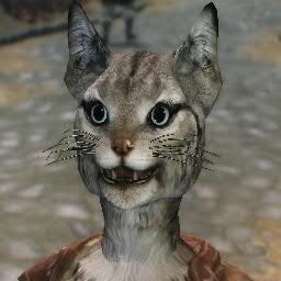 I'm Ma'isha, a Khajiit Girl living in Markarth. @SarVisTheBard is my Papa.