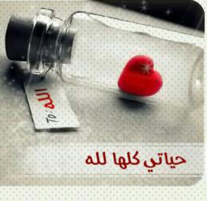 يآ ربْ ؛كُنْ بِقربي فِي كُل خَطوآتي ، فآنآ بِقربكْ أطمَئِن♡