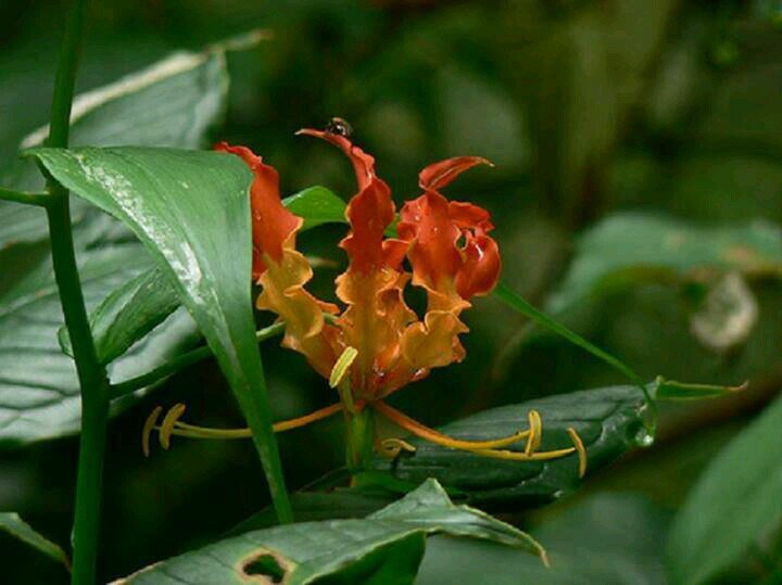 Kumaransac's profile picture. நான் என்ன சொல்ல வேண்டும் எதிர்பார்க்கிறீஙக..