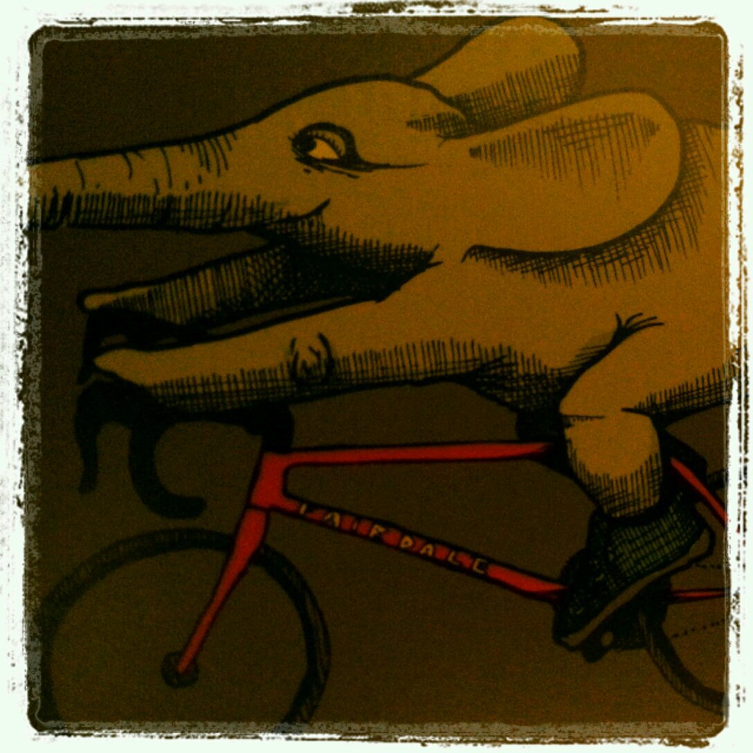 kicksmoriwaki's profile picture. alcohol・camping・fixed・music・sun・fishing・nara・好き。