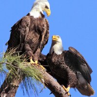 Leon DeVries (@lhdvries) 's Twitter Profile