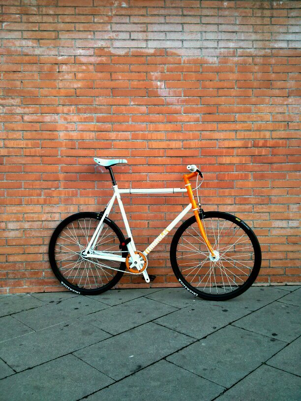 algarvito's profile picture. 