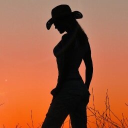 Team ford  Dirt road girl by day, waitress by night. Hard to love.