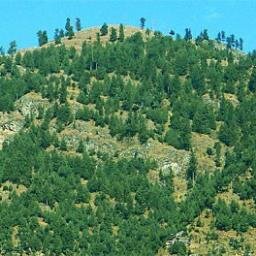 GhaniAbadJhir's profile picture. 